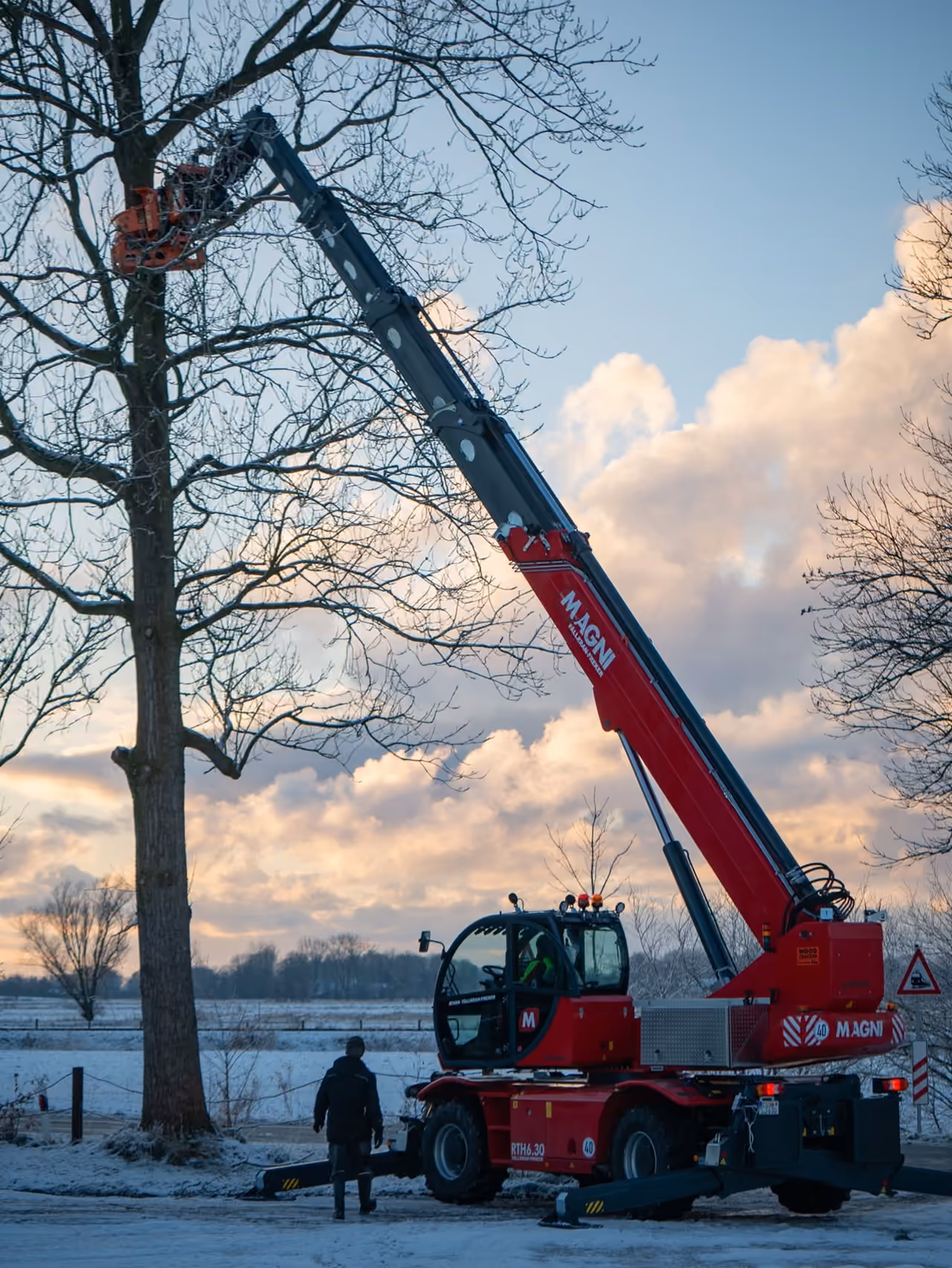 Fällkran mit ausgefahrenem Arm greift eine hohe Pappel im Schnee